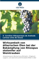 Wirksamkeit von ätherischen Ölen bei der Bekämpfung von Rhizopus stolonifer auf Weintrauben (German Edition) 6208217717 Book Cover