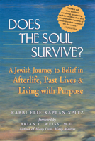 Does the Soul Survive: A Jewish Journey to Belief in Afterlife, Past Lives & Living With a Purpose 1580231659 Book Cover