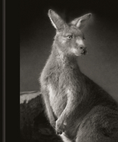 All the Things You Are 3969000408 Book Cover