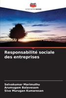 Responsabilité sociale des entreprises (French Edition) 6209897649 Book Cover