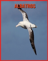 Albatros: Images et Informations Etonnantes Concernant les Albatros B08W6QDCMD Book Cover