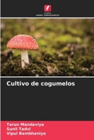 Cultivo de cogumelos (Portuguese Edition) 6209052304 Book Cover