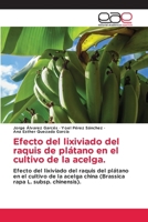 Efecto del lixiviado del raquis de plátano en el cultivo de la acelga. (Spanish Edition) 6209402682 Book Cover