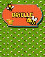 Handwriting Practice 120 Page Honey Bee Book Brielle: Primary Grades Handwriting Book K-2 1070423599 Book Cover