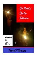 The Poetic Realm Between Wisdom and Chaos: part 3 1512383066 Book Cover