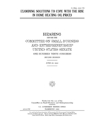 Examining solutions to cope with the rise in home heating oil prices 1695892755 Book Cover