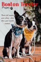 Boston Terrier puppies: Cute Dogs Puppy Animals, Breeds Terrier Puppies 1656722887 Book Cover