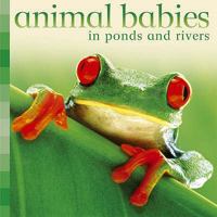 Animal Babies in Ponds and Rivers (Animal Babies) 0753460599 Book Cover