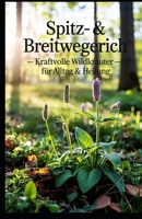 Spitz- & Breitwegerich – Kraftvolle Wildkräuter für Alltag & Heilung: Alles über Wegerich: Anwendung, Ernte & Heilwirkung – mit Tipps für Naturmedizin ... (Kraft aus der Natur) (German Edition) B0F885GFMY Book Cover