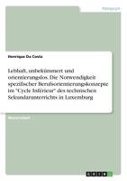 Lebhaft, unbekümmert und orientierungslos. Die Notwendigkeit spezifischer Berufsorientierungskonzepte im Cycle Inférieur des technischen Sekundarunterrichts in Luxemburg 3668658811 Book Cover