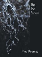 The Ice Storm 0999226371 Book Cover