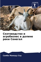 Скотоводство и агробизнес в долине реки Сенегал 6203678368 Book Cover