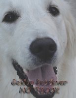 Golden Retriever NOTEBOOK: Dog Notebooks and Journals 110 pages (8.5x11) 1660455847 Book Cover