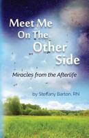 Meet Me On the Other Side: A Journey Home 164237010X Book Cover
