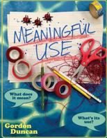 Meaningful Use: What Does It Mean? What's Its Use? 149094253X Book Cover
