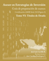 Asesor en Estrategias de Inversión: Tomo VI: Títulos de Deuda B08NS5ZWVL Book Cover