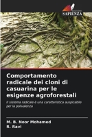 Comportamento radicale dei cloni di casuarina per le esigenze agroforestali (Italian Edition) 6209891829 Book Cover