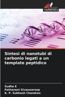 Sintesi di nanotubi di carbonio legati a un template peptidico (Italian Edition) 6207735781 Book Cover