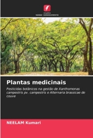 Plantas medicinais: Pesticidas botânicos na gestão de Xanthomonas campestris pv. campestris e Alternaria brassicae de couve 6205894793 Book Cover