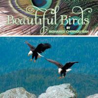 Beautiful Birds 1493194178 Book Cover