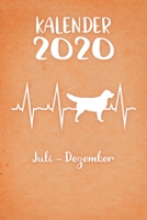 Kalender 2020: Oranger Tageskalender Golden Retriever Herzschlag Hunde 2. Halbjahr Juli Dezember ca DIN A5 weiß über 190 Seiten 165066172X Book Cover