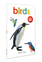 Birds - Early Learning Board Book With Large Font : Big Board Books Series 9390183855 Book Cover