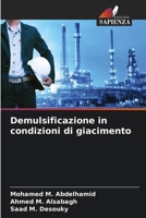 Demulsificazione in condizioni di giacimento (Italian Edition) 620665897X Book Cover