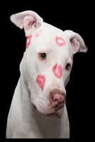 Gek�sster Pitbull Notizbuch: vielseitiges Notizbuch modernes und auff�lliges Notizbuch kariert 120 karierte Seiten Din A5 perfekt als Notizheft, Tagebuch und Journal Geschenk mit s��em Pitbull 1712396978 Book Cover