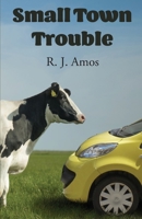 Small Town Trouble 0648291332 Book Cover