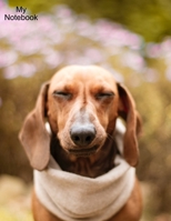 My Notebook: Wide Lined Notebook With Blank Sketch Pages Included - Great For Dog Lovers 1708412956 Book Cover