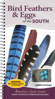 Bird Feathers & Eggs of the South: Identify 40 Species of Common Backyard Birds 164755666X Book Cover