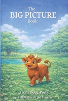 The BIG PICTURE Book: Wisdom is more rare than you might think. B0HJ7DC1WZ Book Cover