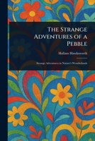 The strange adventures of a pebble 1023490986 Book Cover
