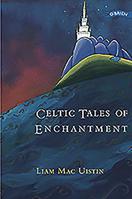 Celtic Tales of Enchantment 0862786924 Book Cover