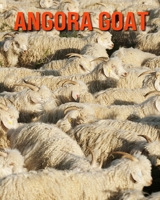 Angora Goat: Beautiful Pictures & Interesting Facts Children Book About Angora Goat B08KH2LG9F Book Cover