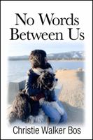 No Words Between Us 195555210X Book Cover