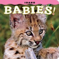 Idaho Babies! 1560376848 Book Cover