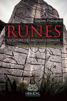 Runes: L'Alphabetisation Durant L'Age Du Fer Germanique 2840484927 Book Cover
