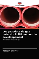 Les gazoducs de gaz naturel: Politique pour le développement 6203249408 Book Cover