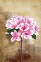 Azalea: Vintage Botanical Flower Illustrations Soft Cover Journal, Diary, Notebook with Lined Pages 172553715X Book Cover