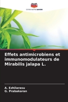 Effets antimicrobiens et immunomodulateurs de Mirabilis jalapa L. (French Edition) 6209931782 Book Cover