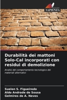 Durabilità dei mattoni Solo-Cal incorporati con residui di demolizione (Italian Edition) 6209477739 Book Cover