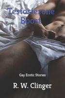 Testosterone Boost: Gay Erotic Stories 1087468221 Book Cover