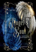 Angel's Soul: Fluch der Offenbarung: Romantische Fantasy 3756896870 Book Cover