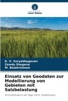 Einsatz von Geodaten zur Modellierung von Gebieten mit Salzbelastung (German Edition) 620832808X Book Cover