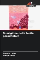 Cicatrização de feridas periodontais 6206306887 Book Cover