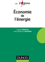 Economie de l'énergie 2100737937 Book Cover
