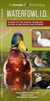 Waterfowl ID Set: A Complete Supplement to Indentify Waterfowl Based on "Where's the white?" 1620055139 Book Cover