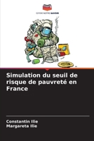 Simulation du seuil de risque de pauvreté en France 6206055078 Book Cover