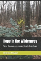Hope in the Wilderness 1737632012 Book Cover
